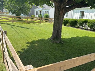 Ruth F.'s turf care service result