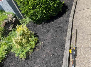 Florence R.'s Mulching service result
