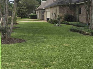 Michele L.'s lawn maintenance service result
