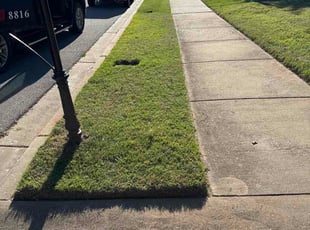 Robert T.'s grass maintenance service result