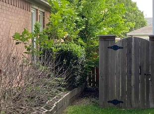 Duane S.'s Bush Trimming service result