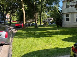 Michelle B.'s grass cutting service result