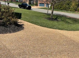 Debra H.'s Leaf Removal service result