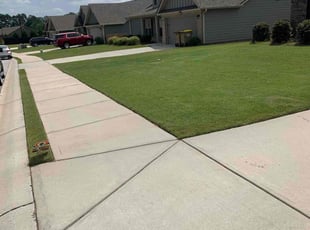 Frank G.'s grass cutting service result