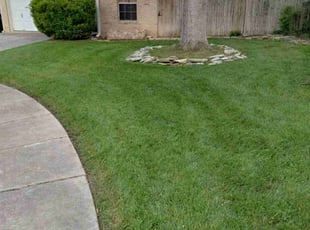 Robert L.'s lawn service service result