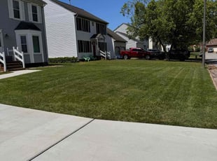 Madeline M.'s lawn service service result