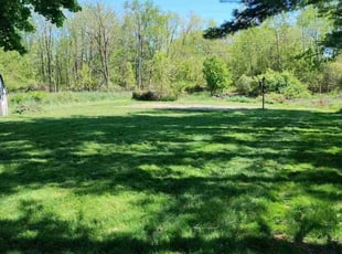 Randi A.'s lawn care service result