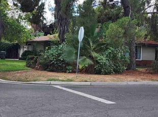 Keith H.'s grass cutting service result