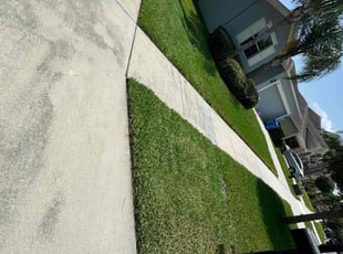 Brandon B.'s turf maintenance service result