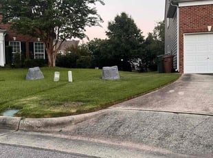 Donna S.'s grass maintenance service result