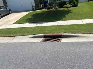 Gina G.'s lawn care services service result