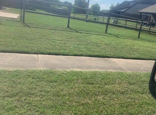 Danielle M.'s grass maintenance service result