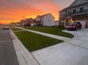 Ruth M.'s lawn maintenance service result