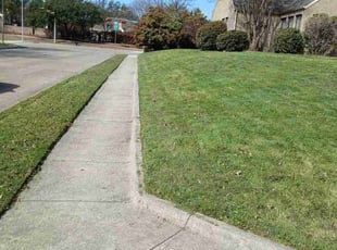 TDarius J.'s lawn care services service result