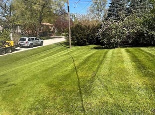 Payman F.'s lawn care service result