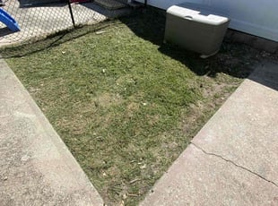 Thurman J.'s grass maintenance service result