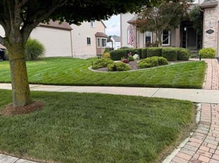 David R.'s lawn maintenance service result