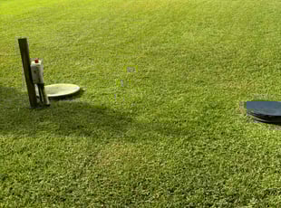 Dan H.'s lawn maintenance service result