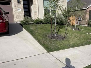 Rosalyn G.'s grass maintenance service result