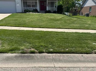 Eddie T.'s turf care service result