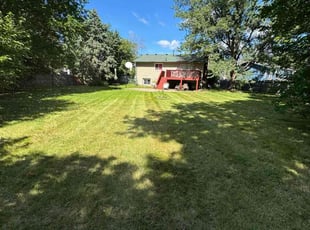 Tonya S.'s turf maintenance service result