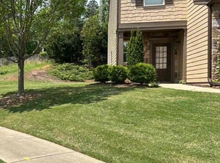 Anthony G.'s lawn service service result
