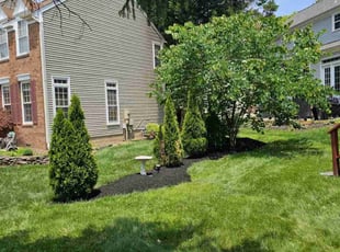 Ainsley O.'s Mulching service result