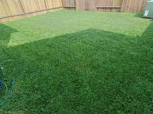 Wesley K.'s grass cutting service result
