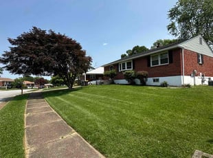 Andrea B.'s lawn service service result