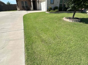 Sandra R.'s grass cutting service result