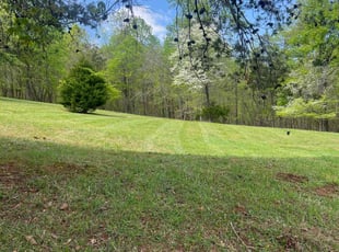 Greg G.'s yard maintenance service result