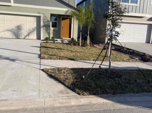 Carrie C.'s lawn care service result