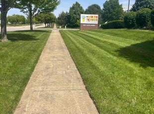 Monica L.'s Long Grass Cleanup service result