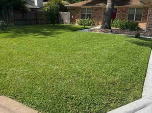 Tanya B.'s turf care service result