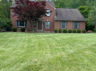 Isabel B.'s turf care service result