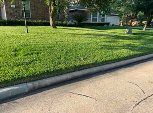 Tina S.'s turf maintenance service result