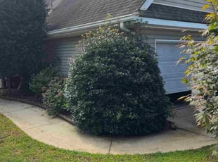 Emmett W.'s Bush Trimming service result