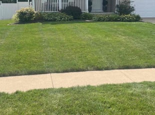 Barbara K.'s turf maintenance service result