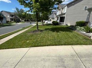 Jayme B.'s turf maintenance service result