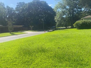 Ashley S.'s lawn maintenance service result