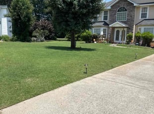 Alex S.'s lawn care service result