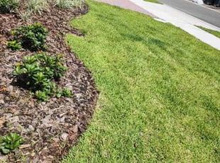 Vinita J.'s grass maintenance service result