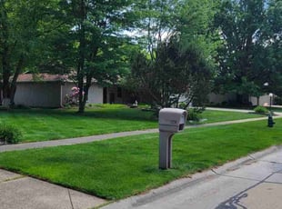 John L.'s turf care service result