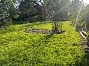 Bri G.'s lawn care service result