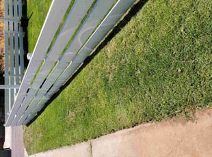 Chris M.'s grass cutting service result