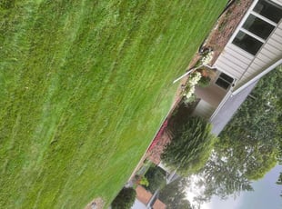 Mike H.'s lawn care services service result