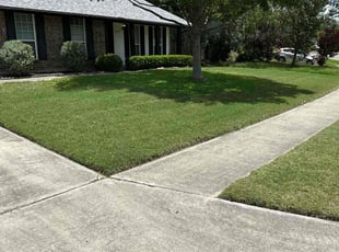Erwin T.'s lawn service service result