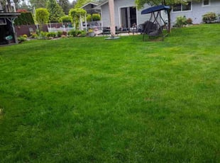 Margret R.'s gardening service service result