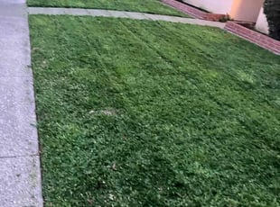 Billie H.'s turf care service result