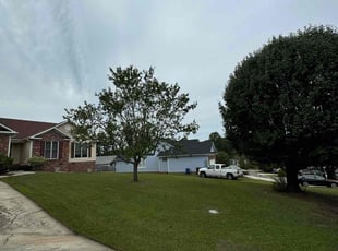 Tammy T.'s grass maintenance service result